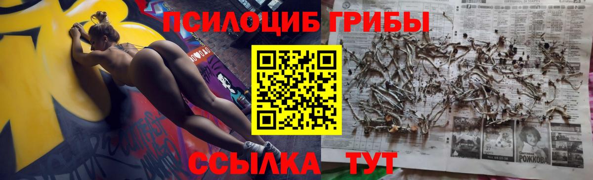 Самара  хочу наркоту  Псилоцибиновые грибы Magic Shrooms  Вход с VPN  Галлюциногенные грибы MAGIC MUSHROOMS 